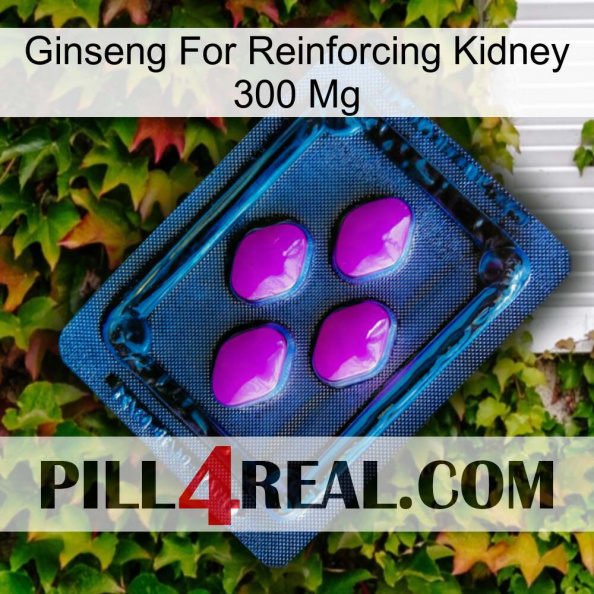 Ginseng For Reinforcing Kidney 300 Mg 04.jpg